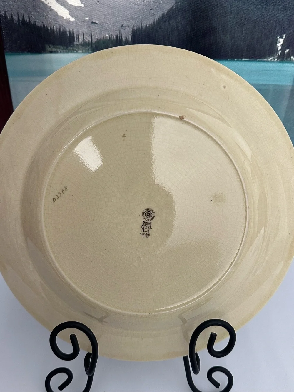 Vintage Antique Royal Doulton Decorative Plate